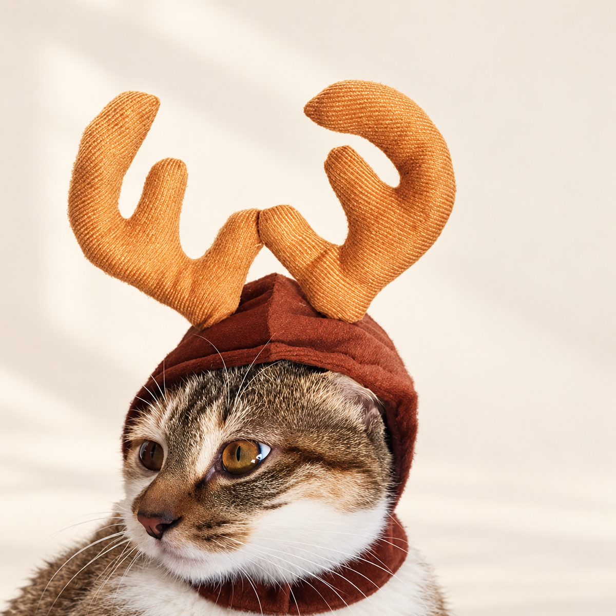 Little Christmas Tree Cape for Cats & Small Dogs