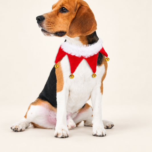 Christmas Bell Pet Outfit
