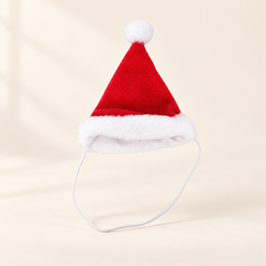 Christmas Santa Hat