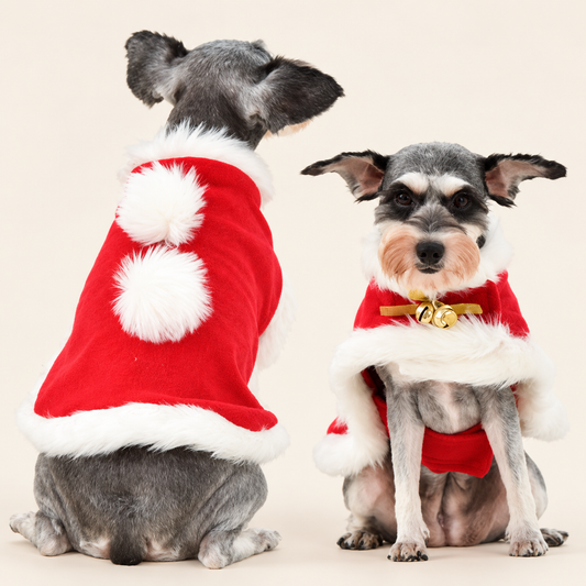 Red Festive Pet Cloak